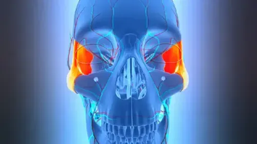 Zygomatic Arch: Anatomy, Role & Clinical Significance